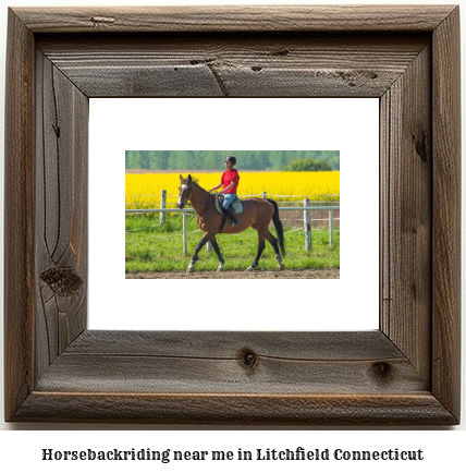 horseback riding near me in Litchfield, Connecticut